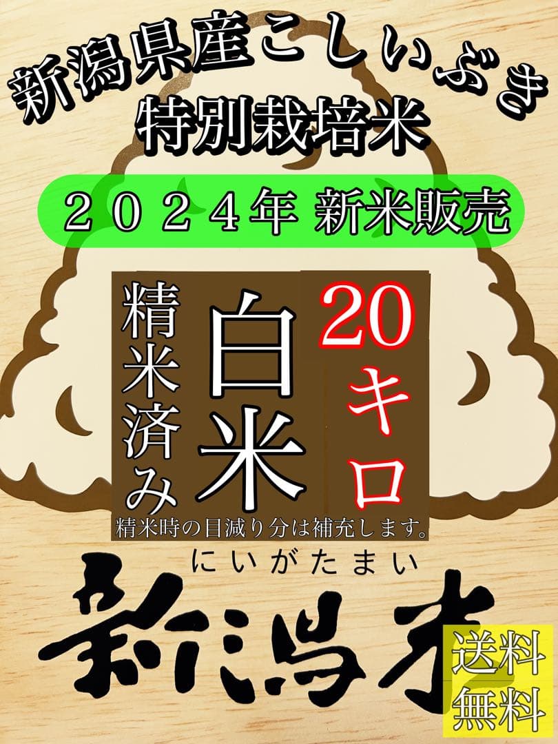 精米済み20キロ【農家直送！】新潟県産こしいぶき特別栽培米6年産低温冷蔵