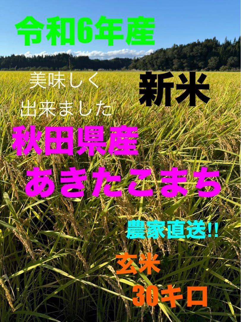 ★令和6年産★新米秋田県産あきたこまち玄米30㎏精米白米お米米お得