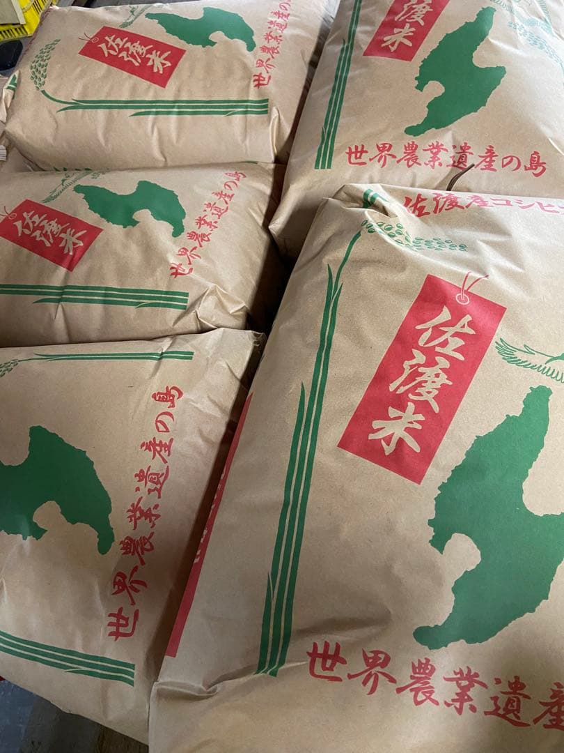 佐渡産 コシヒカリ 30kg 令和6年産 玄米