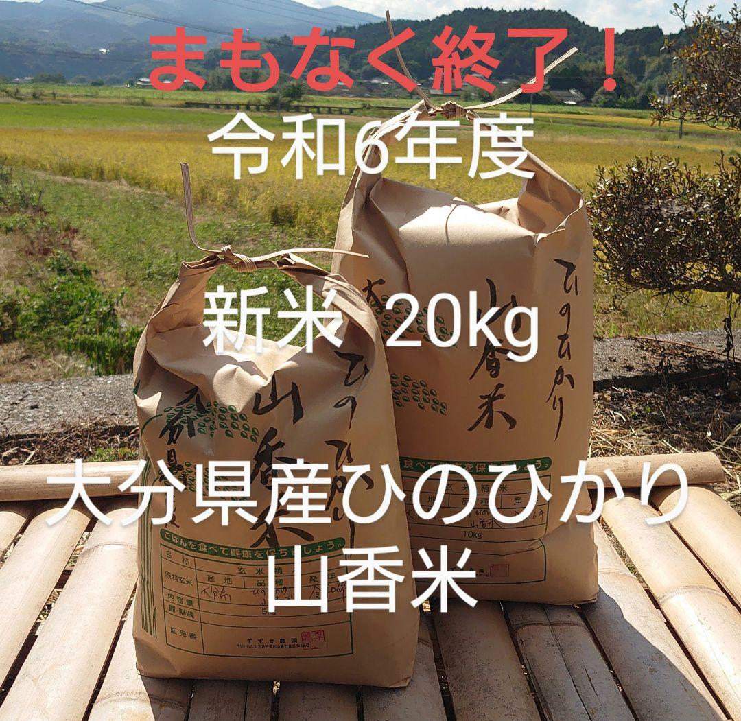 まもなく終了！色彩選別済み！ 20Kg 大分県産 ひのひかり 山香米