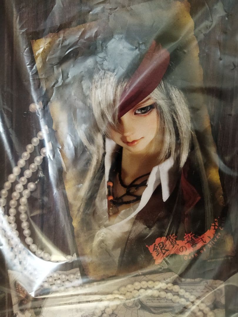 SD17 男の子reisner