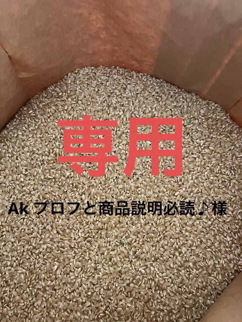 コシヒカリ令和６年度産新米無農薬農家直送