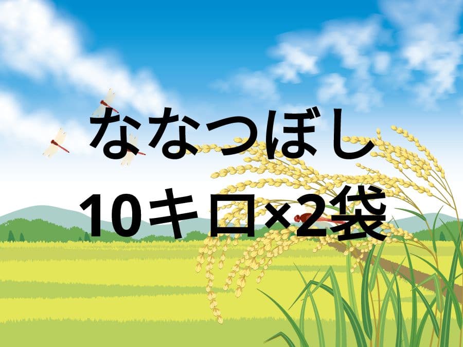 北海道産ななつぼし10キロ×2袋f
