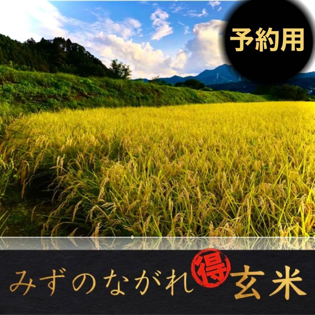 みずのながれ 玄米 お米 米 群馬 コシヒカリ 沼田のこしひかり