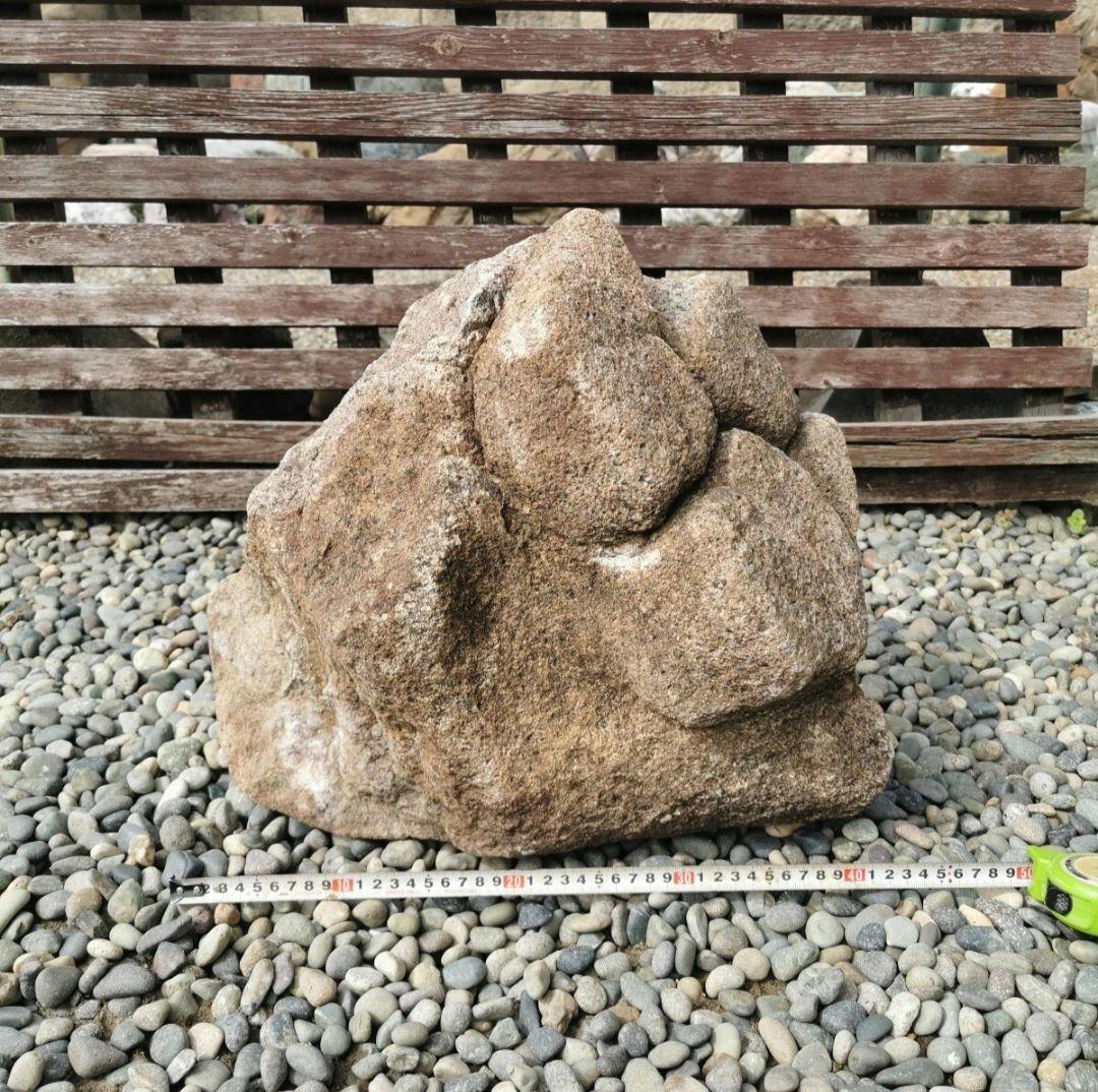 長野産亀甲石41.8キロ庭石石鑑賞石庭坪庭ガーデニング